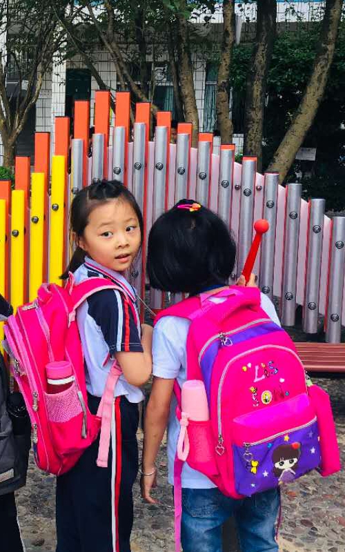 幼兒園/學(xué)校